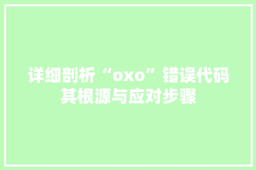 详细剖析“oxo”错误代码其根源与应对步骤