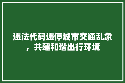 违法代码违停城市交通乱象，共建和谐出行环境