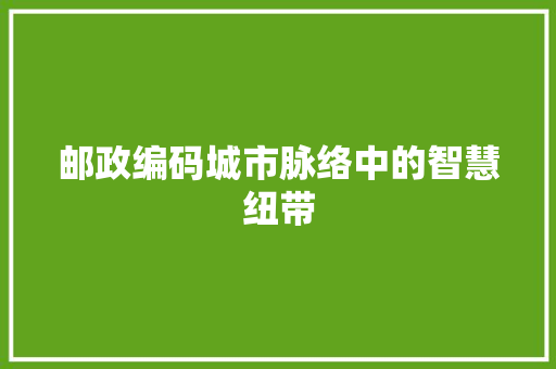 邮政编码城市脉络中的智慧纽带
