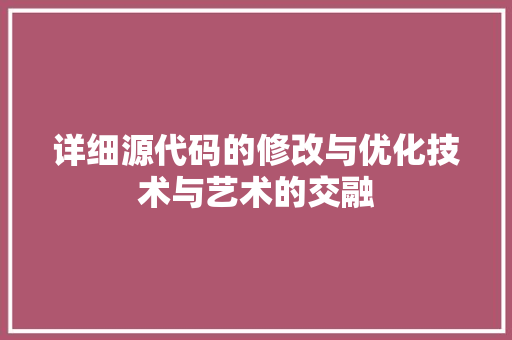 详细源代码的修改与优化技术与艺术的交融
