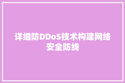 详细防DDoS技术构建网络安全防线