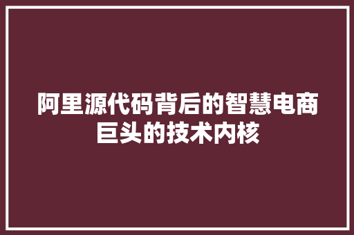 阿里源代码背后的智慧电商巨头的技术内核