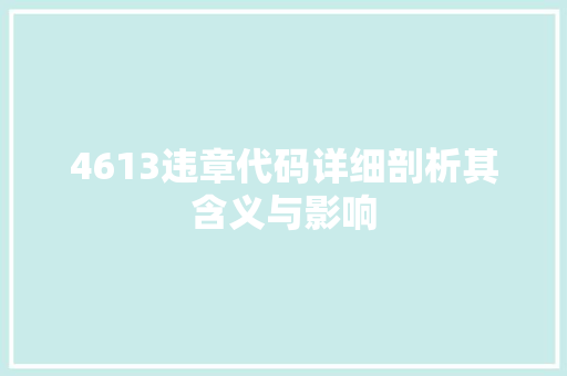 4613违章代码详细剖析其含义与影响