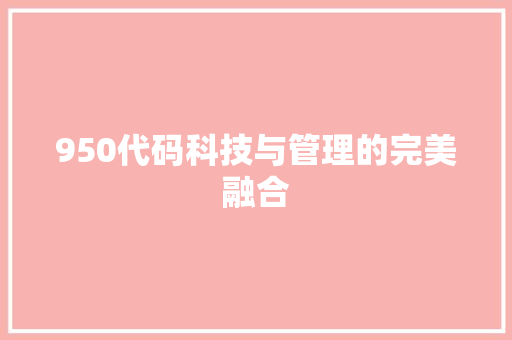 950代码科技与管理的完美融合