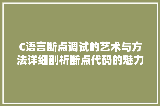 C语言断点调试的艺术与方法详细剖析断点代码的魅力