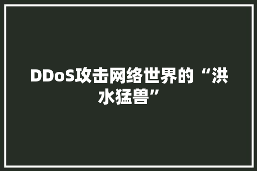 DDoS攻击网络世界的“洪水猛兽”