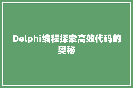 Delphi编程探索高效代码的奥秘