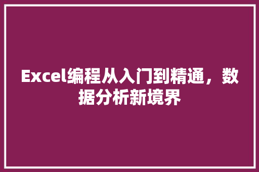 Excel编程从入门到精通，数据分析新境界