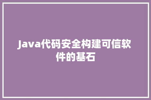 Java代码安全构建可信软件的基石