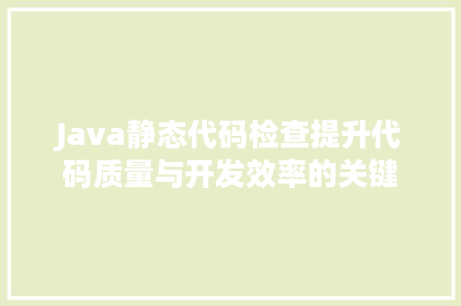 Java静态代码检查提升代码质量与开发效率的关键