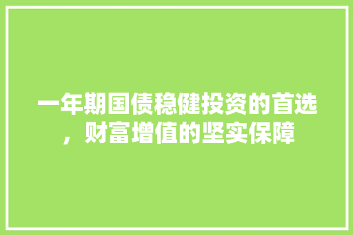 一年期国债稳健投资的首选，财富增值的坚实保障