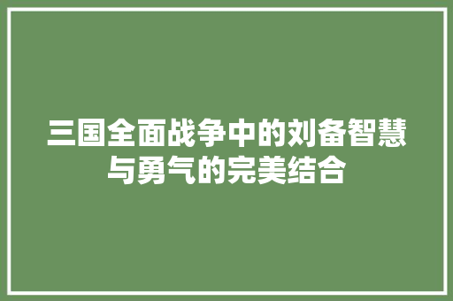 三国全面战争中的刘备智慧与勇气的完美结合