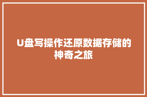 U盘写操作还原数据存储的神奇之旅