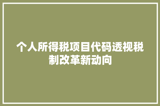 个人所得税项目代码透视税制改革新动向