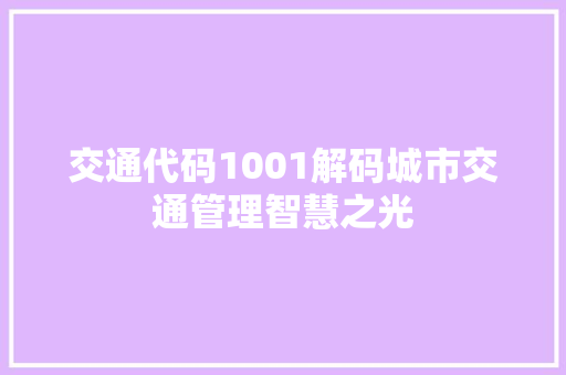 交通代码1001解码城市交通管理智慧之光
