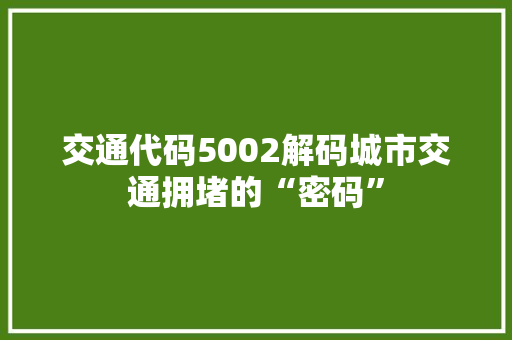 交通代码5002解码城市交通拥堵的“密码”