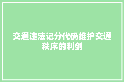 交通违法记分代码维护交通秩序的利剑