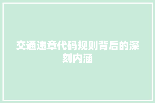 交通违章代码规则背后的深刻内涵