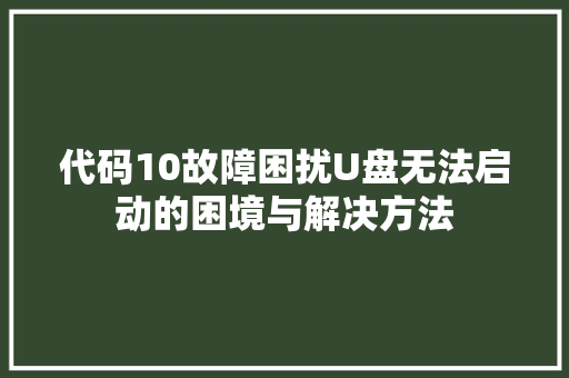 代码10故障困扰U盘无法启动的困境与解决方法