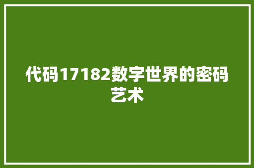 代码17182数字世界的密码艺术