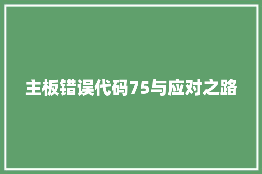 主板错误代码75与应对之路