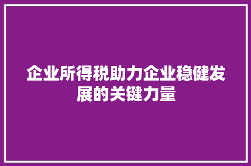 企业所得税助力企业稳健发展的关键力量