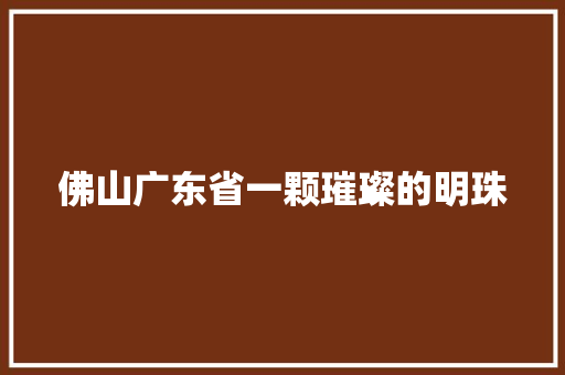 佛山广东省一颗璀璨的明珠