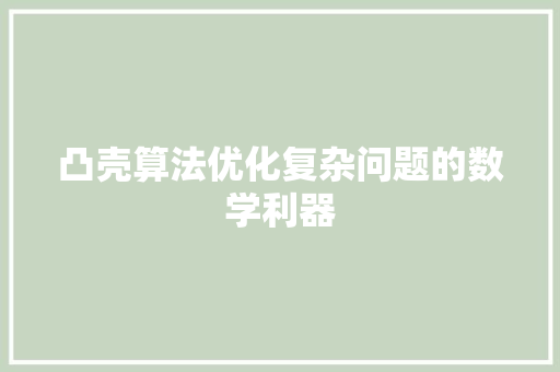 凸壳算法优化复杂问题的数学利器