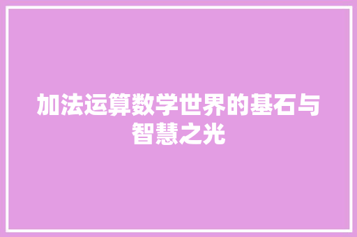 加法运算数学世界的基石与智慧之光