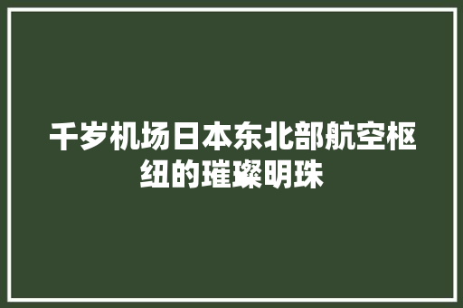 千岁机场日本东北部航空枢纽的璀璨明珠