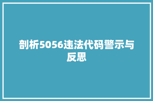 剖析5056违法代码警示与反思
