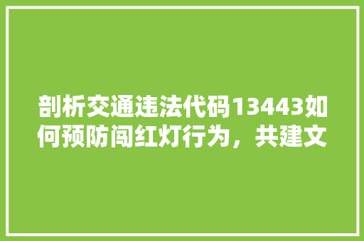 剖析交通违法代码13443如何预防闯红灯行为，共建文明交通环境