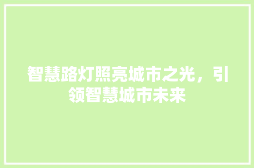 智慧路灯照亮城市之光，引领智慧城市未来