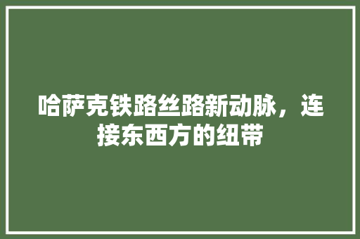 哈萨克铁路丝路新动脉，连接东西方的纽带