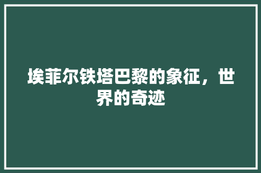 埃菲尔铁塔巴黎的象征，世界的奇迹
