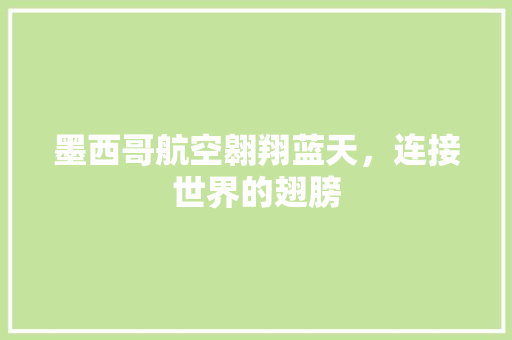 墨西哥航空翱翔蓝天，连接世界的翅膀  第1张