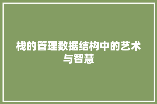 栈的管理数据结构中的艺术与智慧