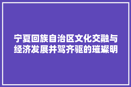 宁夏回族自治区文化交融与经济发展并驾齐驱的璀璨明珠