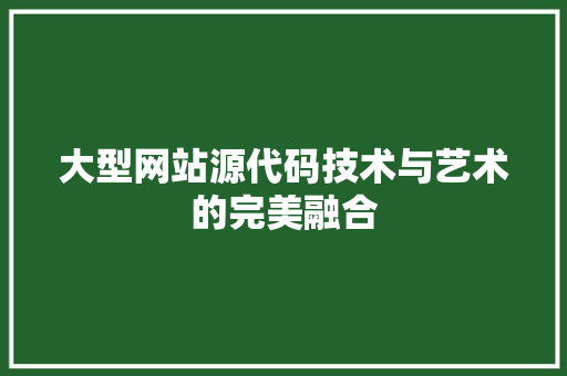 大型网站源代码技术与艺术的完美融合