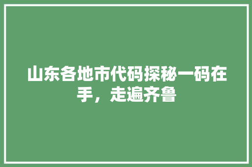 山东各地市代码探秘一码在手，走遍齐鲁