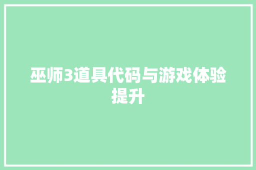 巫师3道具代码与游戏体验提升