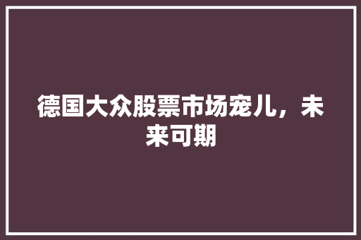 德国大众股票市场宠儿，未来可期  第1张