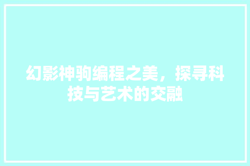 幻影神驹编程之美，探寻科技与艺术的交融