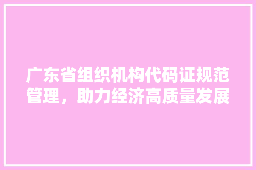 广东省组织机构代码证规范管理，助力经济高质量发展