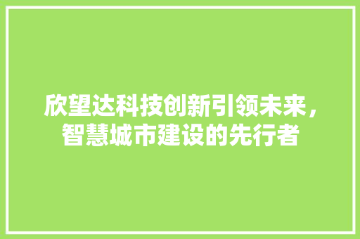 欣望达科技创新引领未来，智慧城市建设的先行者