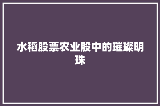 水稻股票农业股中的璀璨明珠