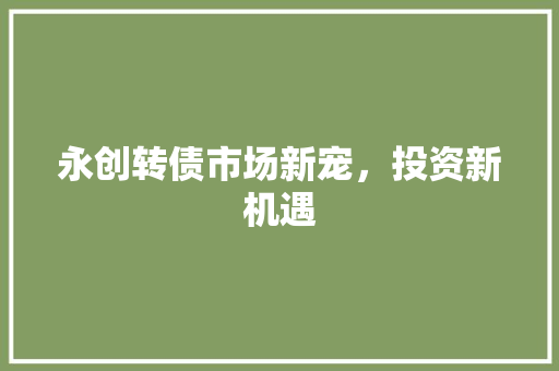 永创转债市场新宠，投资新机遇