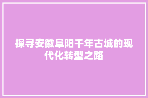 探寻安徽阜阳千年古城的现代化转型之路