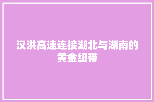 汉洪高速连接湖北与湖南的黄金纽带