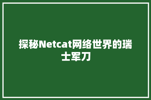 探秘Netcat网络世界的瑞士军刀